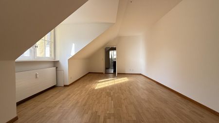 Grosszügig; Zentral; Hinter dem Universitätsspital - Photo 4