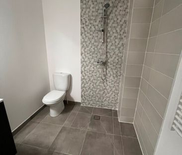 Location Appartement 1 pièce 28m² ST JORY 31790 - Photo 3