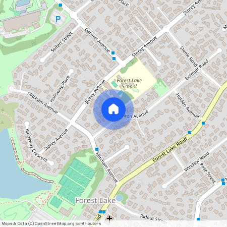 28 Hinton Avenue, Forest Lake, Hamilton City