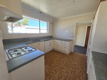 Freshly Updated Four Bedroom Home - Photo 2