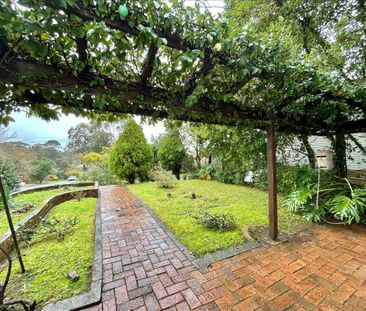 19 Careebong Rd, Frenchs Forest NSW 2086 - House For Rent | Domain - Photo 5