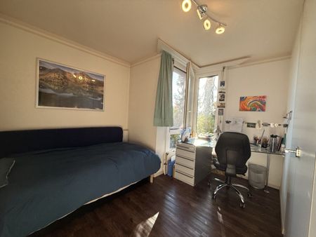 41/2 ROOM APARTMENT IN THUN (BE), FURNISHED, TEMPORARY - Foto 3