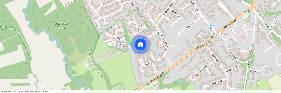 Little Dene Copse, Pennington, Lymington, Hampshire, SO41