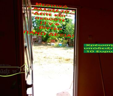 Μονοκατοικία για ενοικίαση Νέα Σάντα (Γαλλικός) - Photo 2