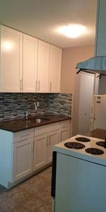 Spacious Renovated Suite in the Heart of Kitsilano Feb 1- 1 Bedrm - Photo 4