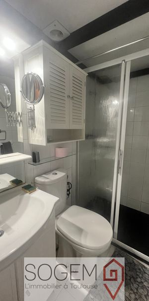 Appartement T2 meublé en location à Toulouse - Photo 2