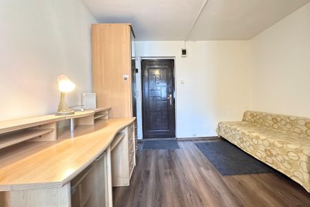 Închiriază Apartament 1 camere Pajura - Fotografie 3