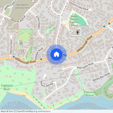 352 Hillsborough Road, Mount Roskill, Auckland City