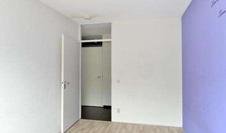 Lotustuin 0ong, 3078 KL Rotterdam, Nederland - Foto 2