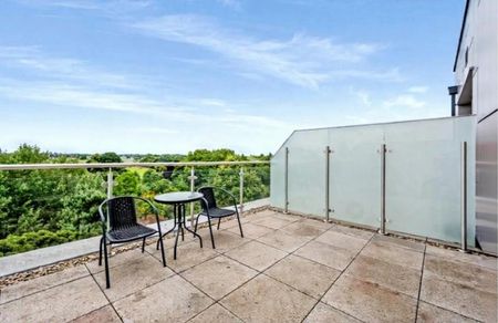 Luxury Parkview Apt (Gym/Cinema) – Available 6 Days/Week (Sun-Fri or Mon-Sat) - Photo 4