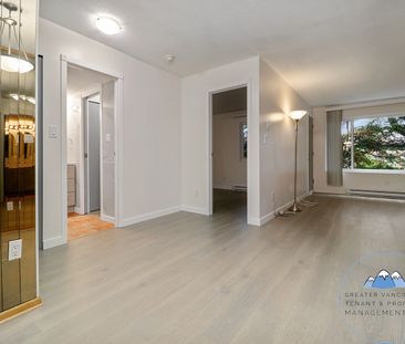 Property Details - Photo 6