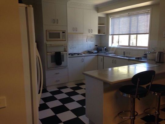 Flora Hill - Photo 1