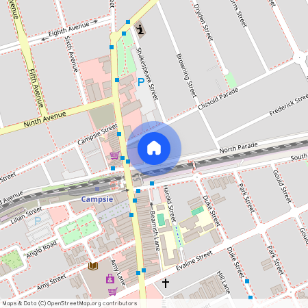 35 North Parade, NSW 2194, Campsie