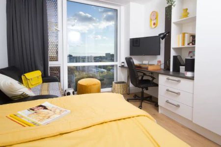 Skyline Large Deluxe Studio - Photo 5