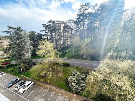 APPARTEMENT T4-OULLINS Oullins (69600) - Photo 5