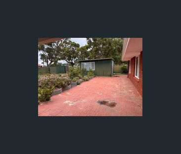 A Retro Rarirty - Photo 4