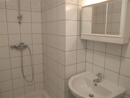 Appartement - 1 pièce - Jardin Lecoq/Facultés - Photo 5