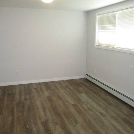 Newly Renovated Suite - Photo 1