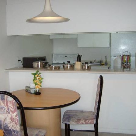 Looking for a Fully Furnished Condo? This is perfect home for you! - Photo 3