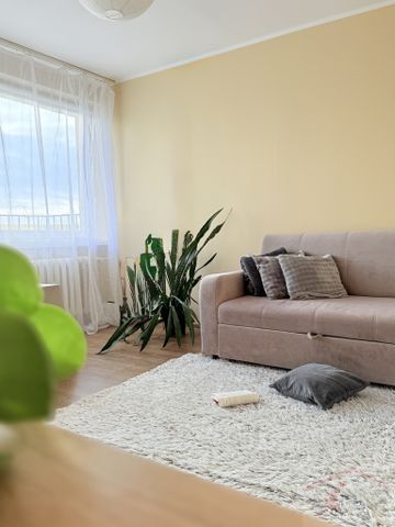 3 Pokoje Na Wynajem (437992) - Фото 4