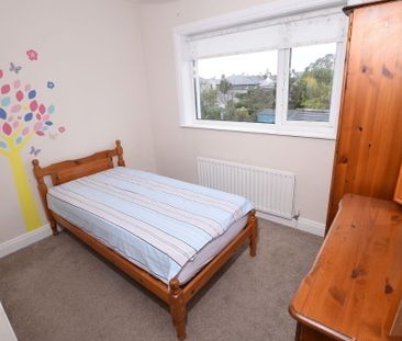 55 Groomsport Road, Bangor, BT20 5LP - Photo 4