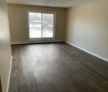 Meridian Pines - Photo 6