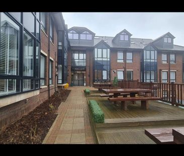 1 bedroom property to rent - Photo 4