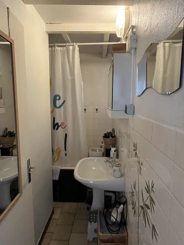 T2 - SAINT ROMAIN DE POPEY - Photo 5