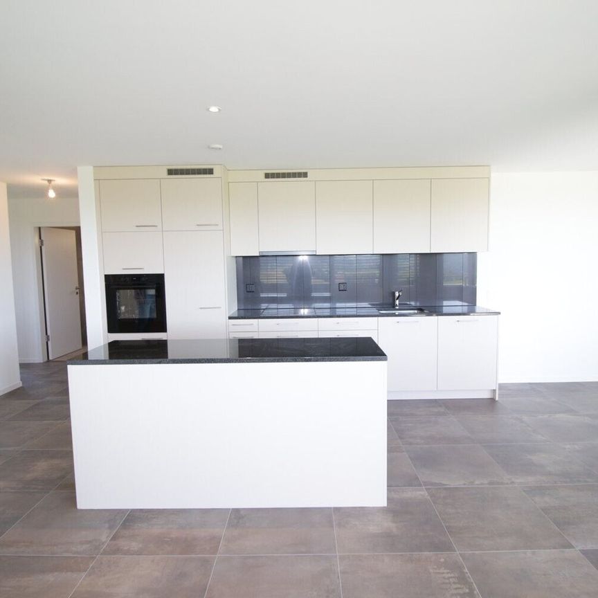 Beautiful 4½-room apartment in a modern Minergie-certified building - Photo 1