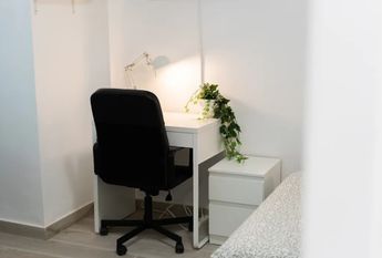 Senda del Secanet, Valencia, Valencian Community 46035