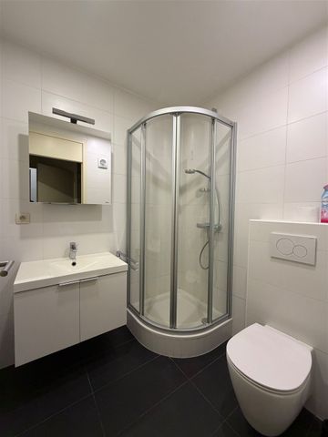 Appartement te huur in Leuven met 1 slaapkamer - foto 5