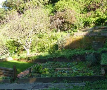 Private and peaceful house in Island Bay - Photo 5