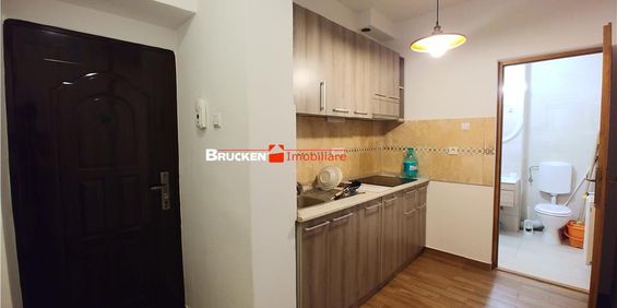 Apartament cu o camera - Fotografie 3