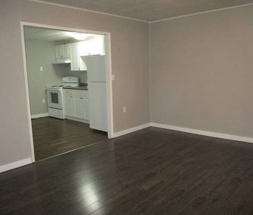 Spacious Lower Suite! - Photo 3