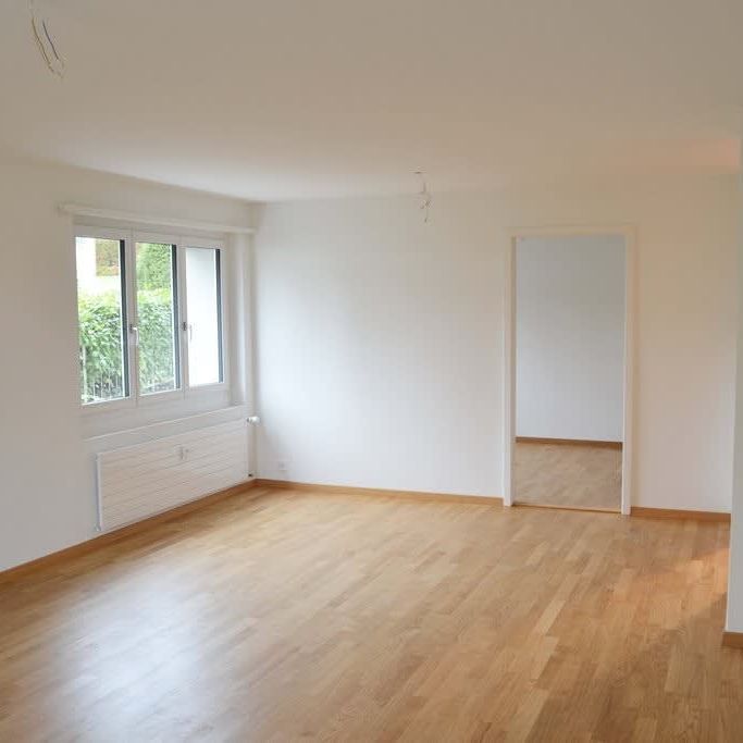 2.5 Zimmer, 55 m² - Photo 1