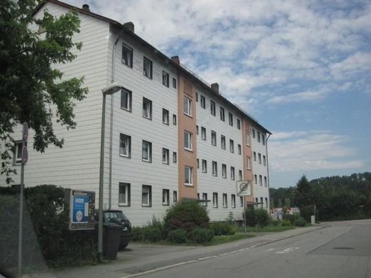 Renovierte 3 - Zimmer Wohnung mit Balkon in Zentrumsnähe - Foto 1