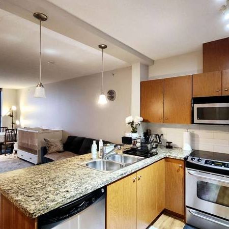 COQUITLAM Fantastic Elegant 1 bed 1 bath furnished apartment - Photo 1