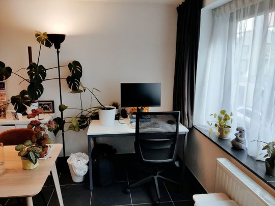 Modern 1Slpk appartement aan Gent-Zuid - Photo 1