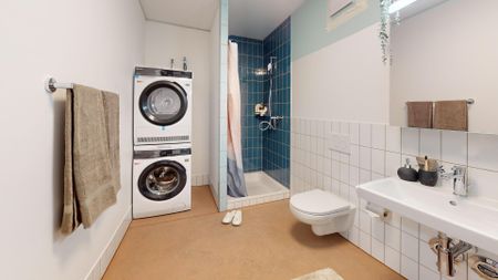 Wohnen im neuen Quartier Volta Basel - Foto 4