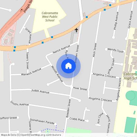 17 Ryan Avenue, NSW 2166, Cabramatta