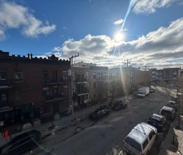 45 Rue Dante, H2S 1J6, H2S 1J6, Montréal - Photo 6