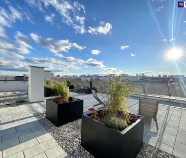Ruhiger Zwei-Zimmer-Erstbezug mit großen Glasfronten und viel Quali... - Foto 1