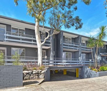 18/3 Rayner Street, Lilyfield NSW 2040 - Apartment For Rent | Domain - Photo 6