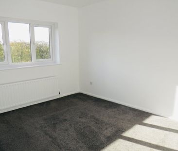 GREEN LANE - Photo 5