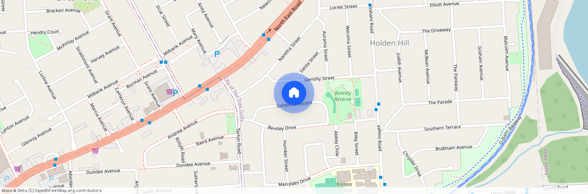 20 Gordini Crescent, SA 5088, Holden Hill