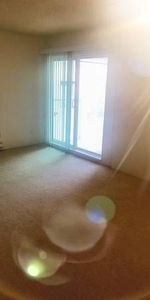 1 BEDROOM BEAUTIFUL APARTMENT FOR RENT MOUNT PLEASANT - Photo 4