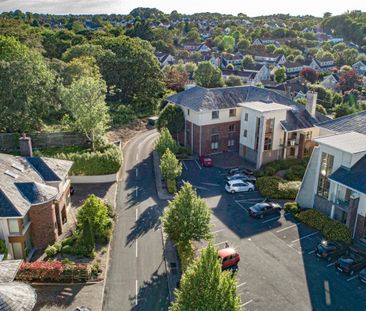 15 Kingswood, Ballinakill, Waterford, Co. Waterford - Photo 6