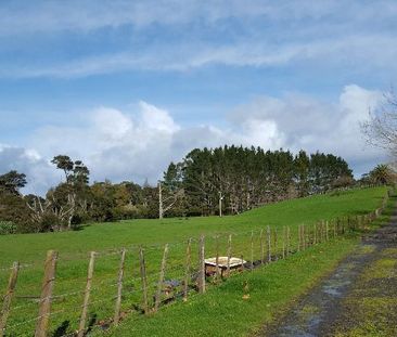 Property Management400 Waitakere Rd, Taupaki - House for Rent - Photo 5