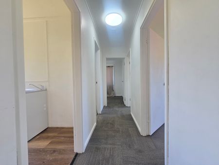 15 Heckenberg Avenue, Sadleir NSW 2168 - House For Rent | Domain - Photo 3