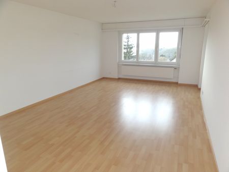 Grosszügige Wohnung Nahe Zentrum - Photo 2